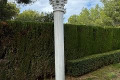 Columna_63